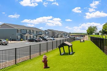 Dog park with agility equipment & synthetic grass